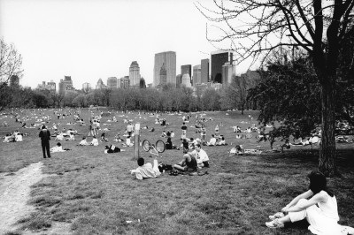 NYC_CentralPark.jpg