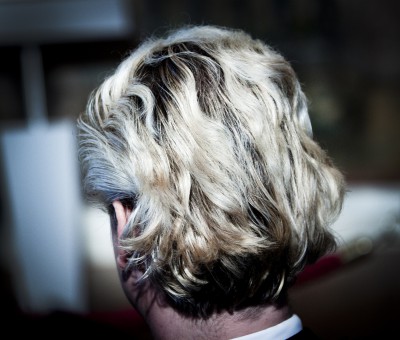 vmWilders09.jpg